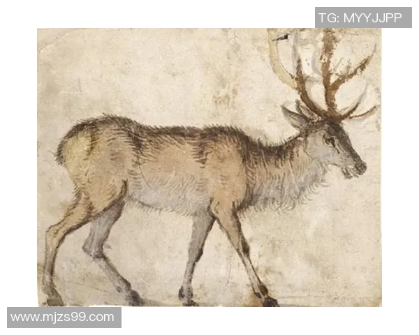 探索埃斯特旺的魅力与独特文化,揭示其在现代社会中的重要地位与影响力