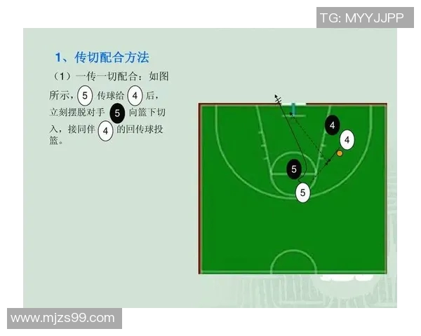 成都篮球队的灵活性揭秘:从战术到球员的全面分析与探讨